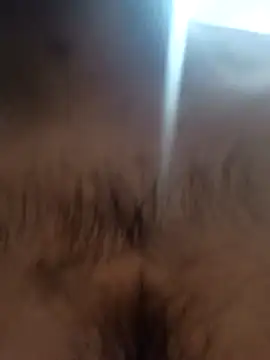 bnglrboy0886 online show from 7, 2, 2026