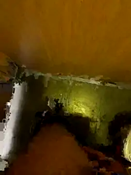 Thilandex online show from 19, 12, 2025