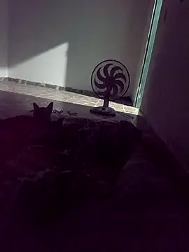 WPS15 online show from 15, 4, 2026