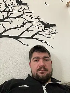 LienalWarplane online show from 15, 2, 2026