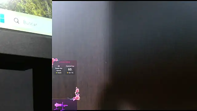 Shasapet online show from 11, 1, 2026