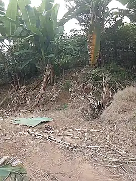 Menlike69 online show from 11, 1, 2026