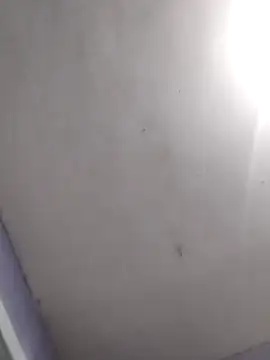 Snapshot of vanNe78 chatting on 28, 2, 2026 vanNe78 online show from 28, 2, 2026