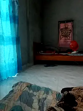 boiboi001 online show from 3, 2, 2026