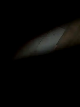Snapshot of silentman777 chatting on 22, 12, 2025 silentman777 online show from 22, 12, 2025