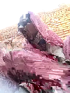 Rakhi cut online show from 13, 1, 2026