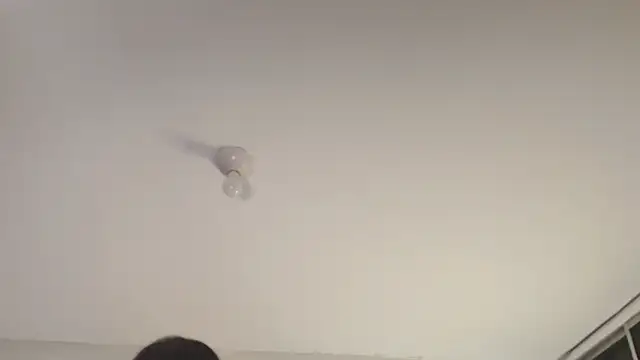 Sofii unicorn online show from 13, 3, 2026