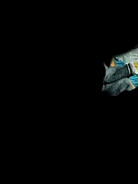 Hot2602 online show from 22, 2, 2026