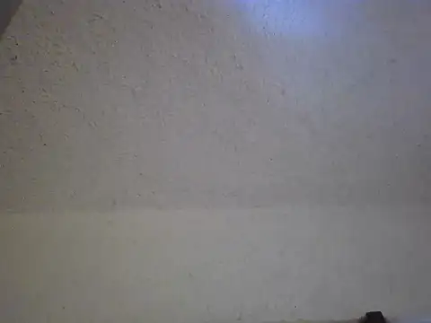 zandyplus online show from 3, 4, 2026