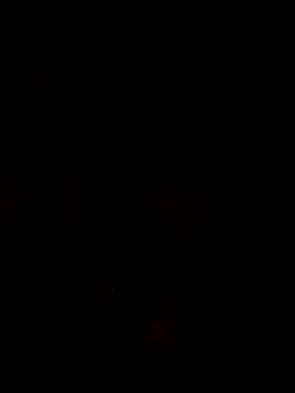 theboyas online show from 29, 3, 2026