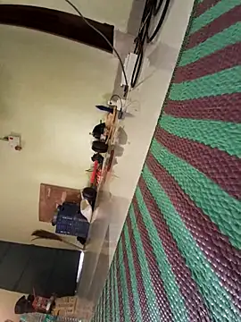 Ranuvabi online show from 28, 4, 2026