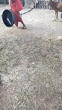 hornycouple20000 online show from 11, 4, 2026