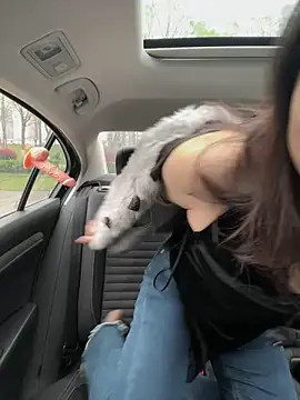 Snapshot of mo-mo-69 chatting on 3, 4, 2026 mo-mo-69 online show from 3, 4, 2026