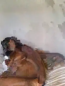 babepear online show from 25, 2, 2026