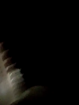 Fefe2805 online show from 1, 4, 2026