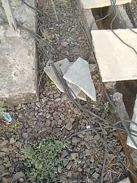 sexyboy 917 online show from 1, 4, 2026