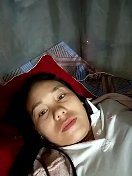 vanvan005 online show from 4, 3, 2026