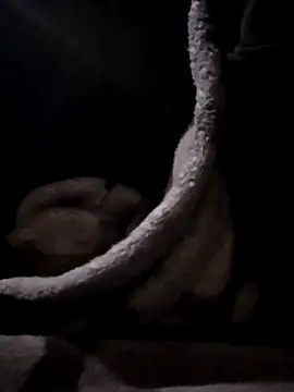 YoungAsainWithATrunk online show from 19, 1, 2026