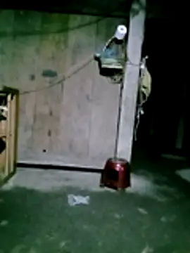 him220 online show from 31, 1, 2026