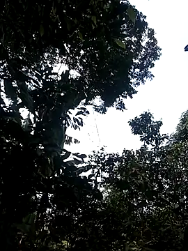 him220 online show from 2, 3, 2026