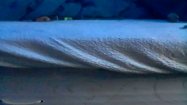 Silencio26 online show from 19, 4, 2026