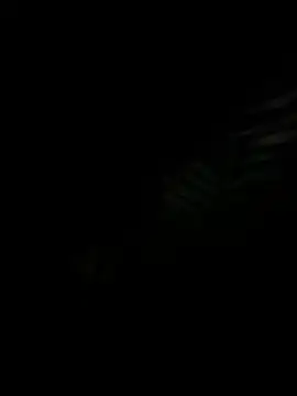 GraszkIgraszka69 online show from 17, 1, 2026