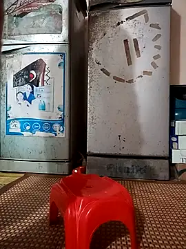 -Bunny-y online show from 8, 1, 2026