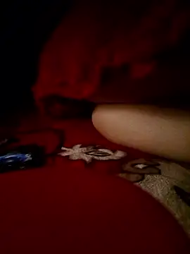 -Bunny-y online show from 11, 1, 2026