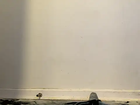 AnnoyedAnnual online show from 15, 1, 2026