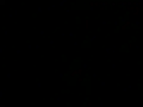 Blackkksnow online show from 24, 7, 2026