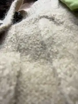 wy2026 online show from 8, 2, 2026