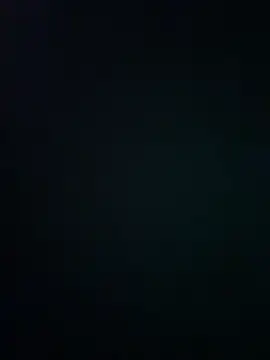 wy2026 online show from 12, 3, 2026