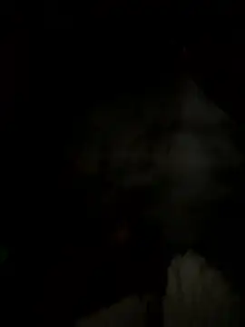 Ginny 2x online show from 13, 1, 2026