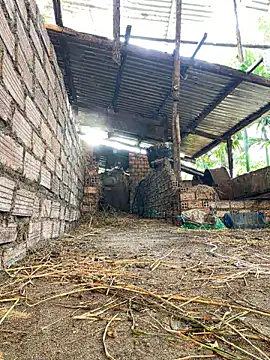 Ginny 2x online show from 15, 2, 2026