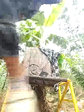 leona118 online show from 9, 4, 2026