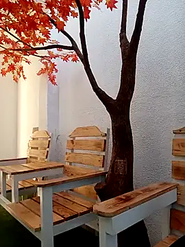 Dante Knox online show from 2, 3, 2026