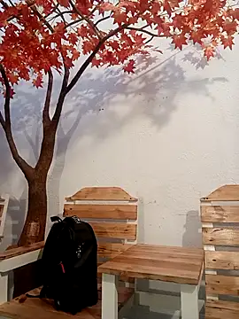 Dante Knox online show from 17, 4, 2026