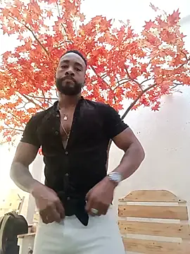 Dante Knox online show from 31, 5, 2026