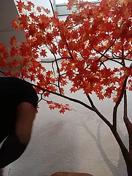 Dante Knox online show from 1, 6, 2026