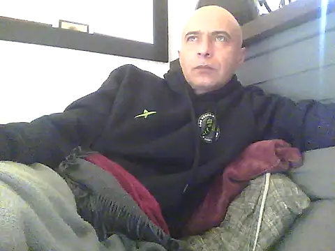 dogfrota online show from 2, 6, 2026