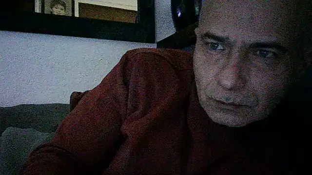 dogfrota online show from 14, 6, 2026