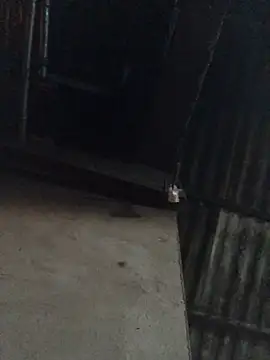 sun-shii online show from 16, 4, 2026