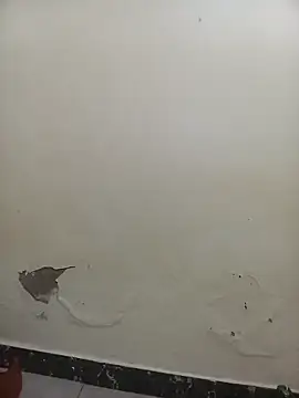 Snapshot of PatriciaVen chatting on 7, 2, 2026 PatriciaVen online show from 7, 2, 2026