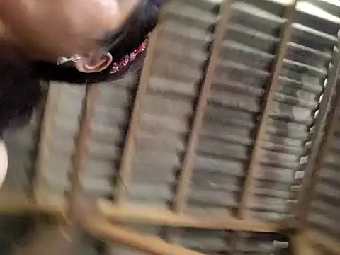 miumiu sexy2x online show from 6, 4, 2026