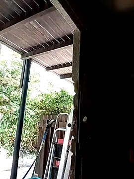 dicklife3485 online show from 3, 2, 2026