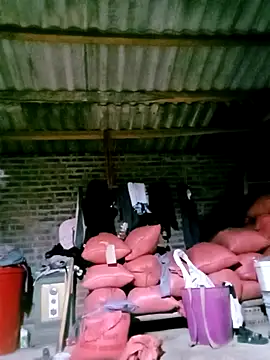 Diana-02 online show from 4, 4, 2026