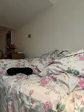 KOdaLion online show from 3, 4, 2026