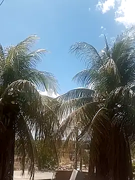  ---bucetuda    - online show from 16, 1, 2026