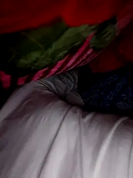 Joker12085 online show from 15, 4, 2026