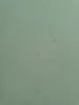 ruanruan05 online show from 9, 5, 2026